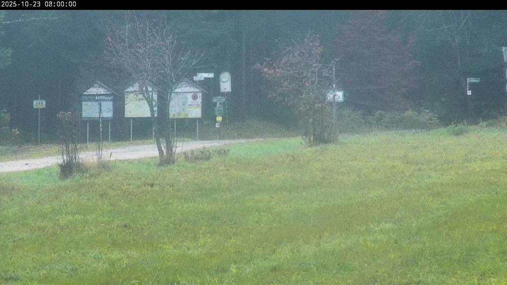 Webcam Johanngeorgenstadt