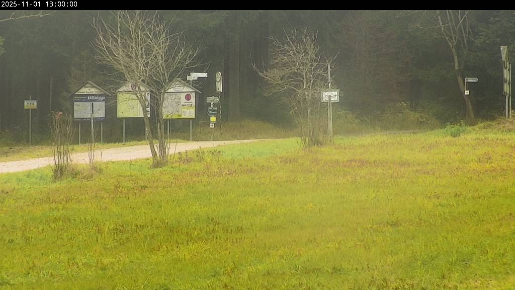 Webcam Johanngeorgenstadt