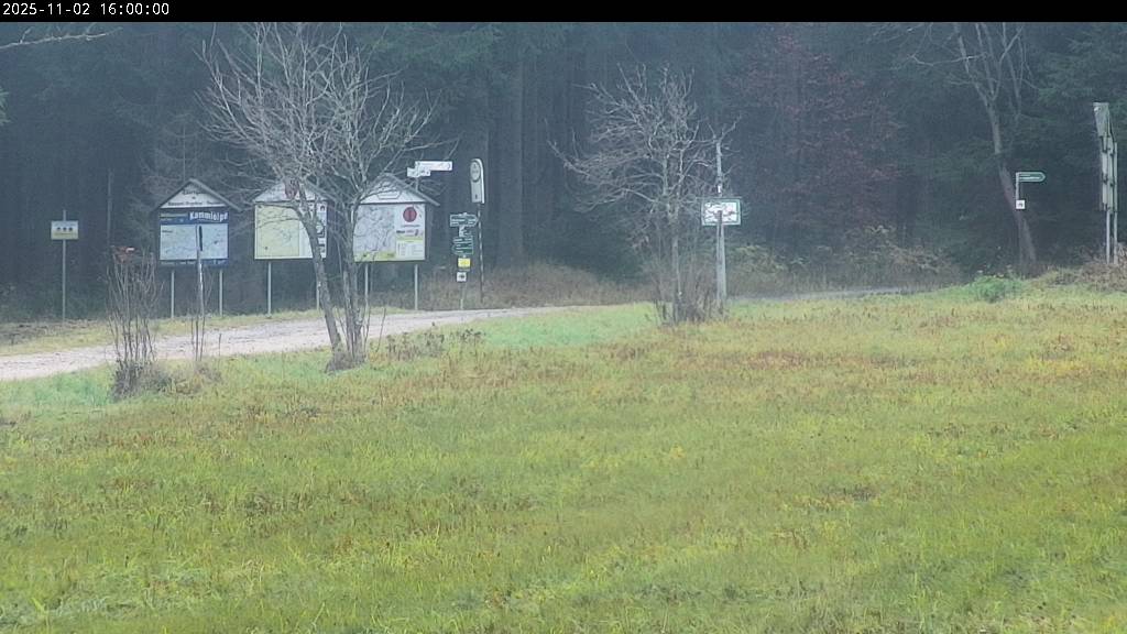 Webcam Johanngeorgenstadt