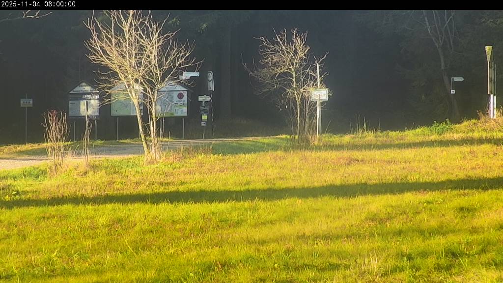 Webcam Johanngeorgenstadt