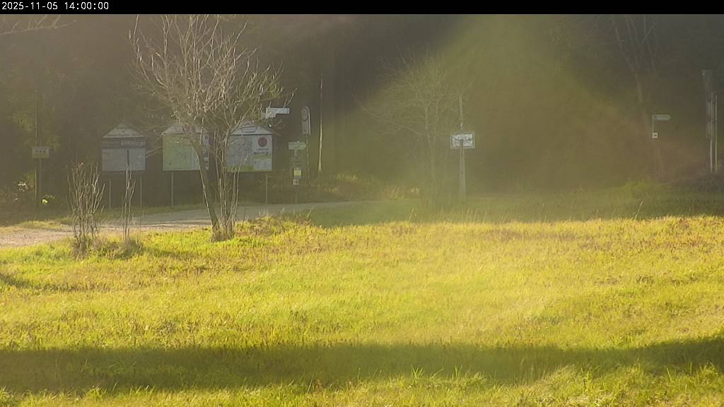 Webcam Johanngeorgenstadt