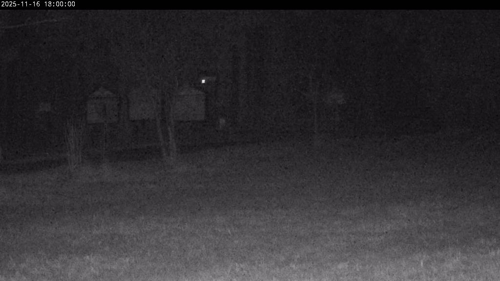 Webcam Johanngeorgenstadt