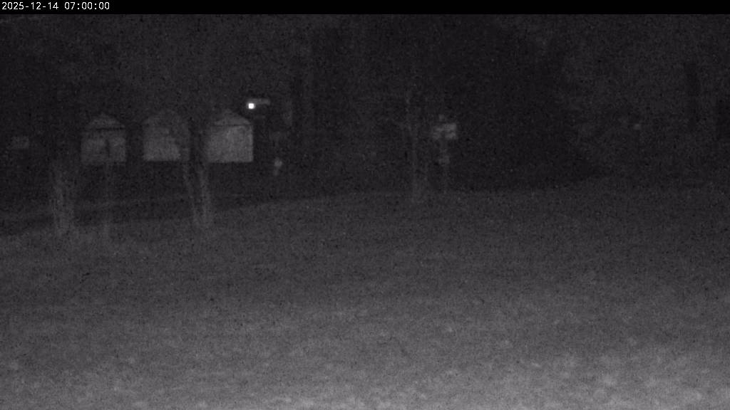 Webcam Johanngeorgenstadt