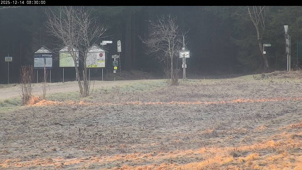 Webcam Johanngeorgenstadt