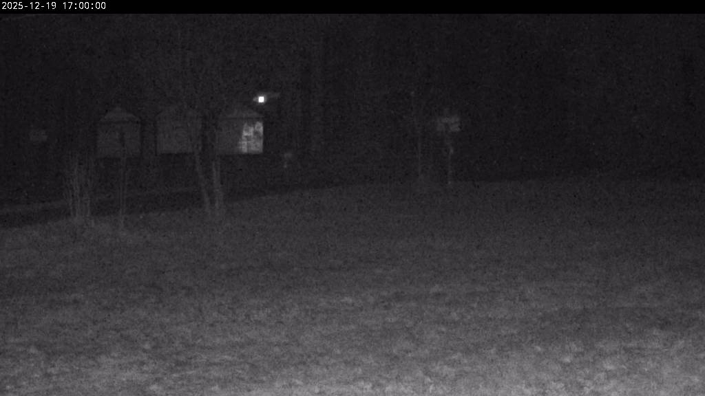 Webcam Johanngeorgenstadt