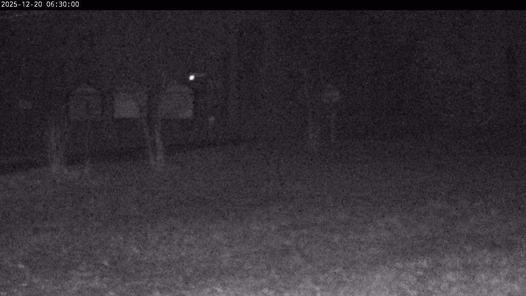 Webcam Johanngeorgenstadt