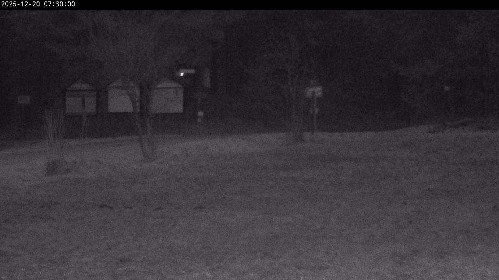 Webcam Johanngeorgenstadt