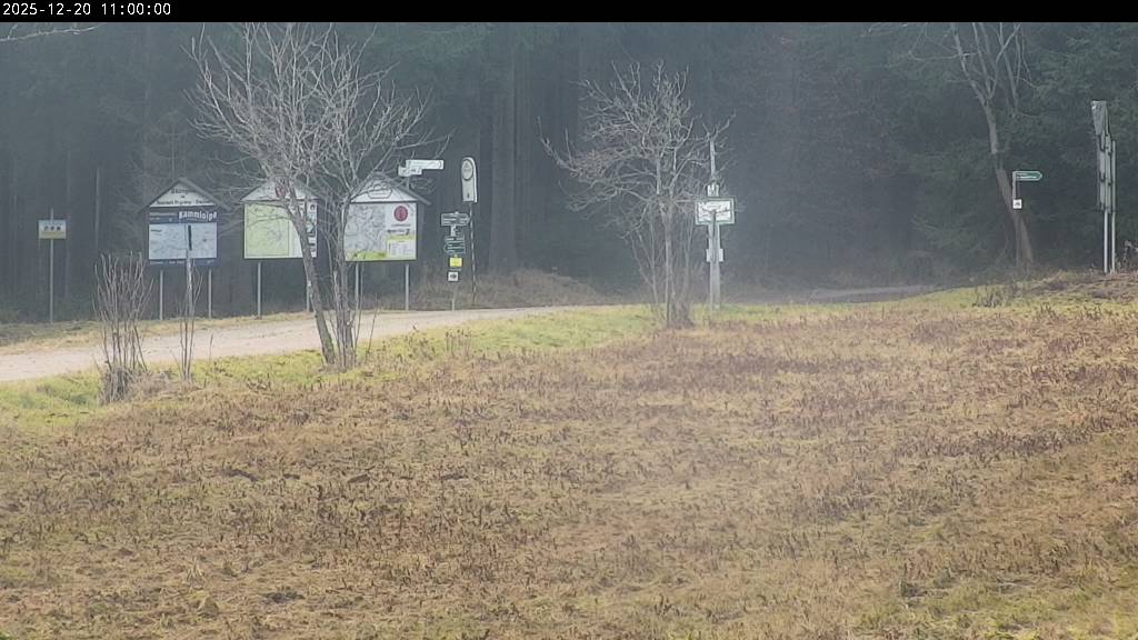 Webcam Johanngeorgenstadt