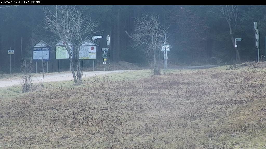 Webcam Johanngeorgenstadt