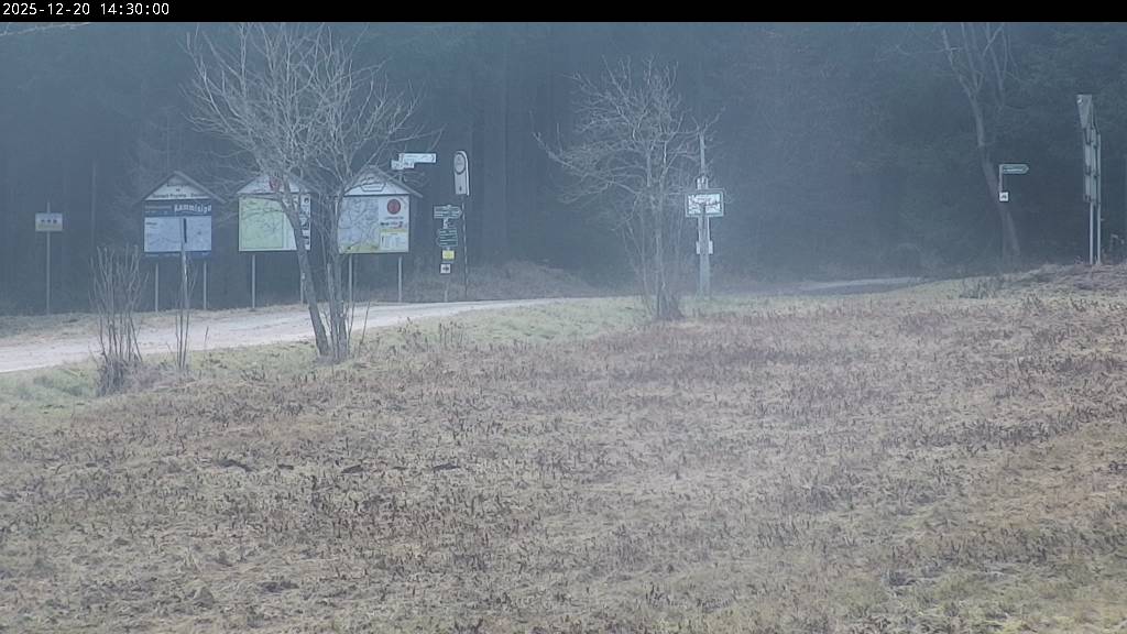 Webcam Johanngeorgenstadt