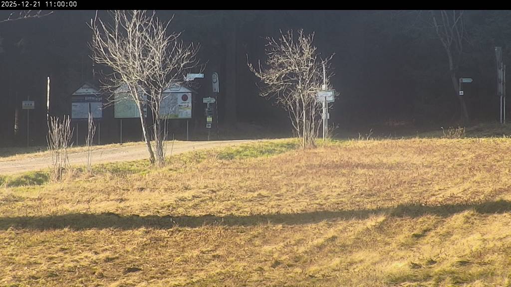 Webcam Johanngeorgenstadt