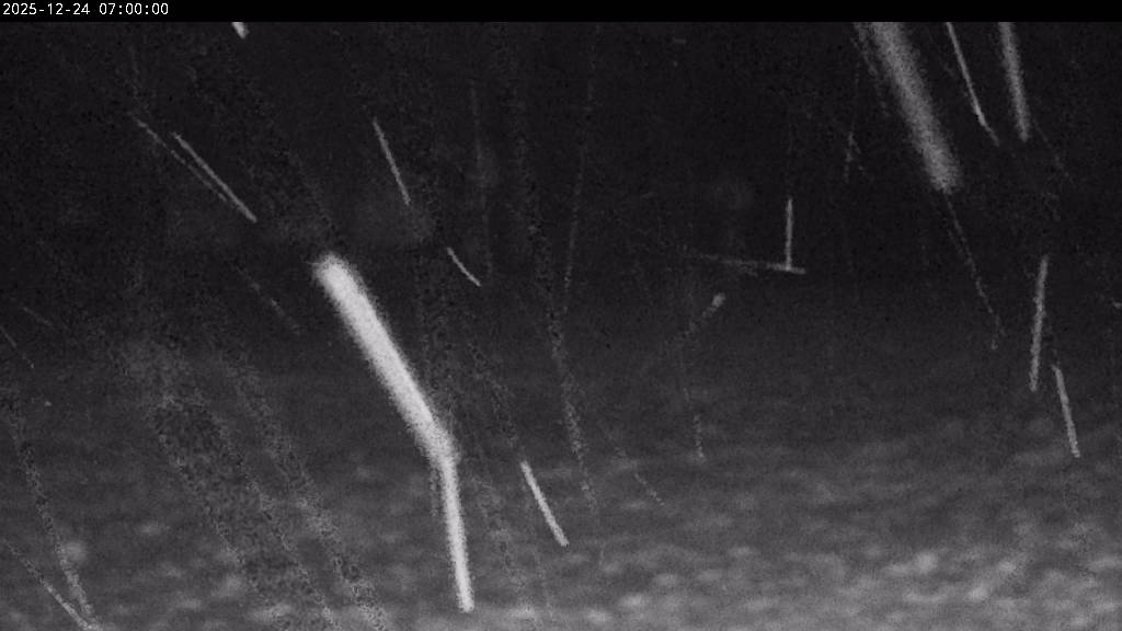 Webcam Johanngeorgenstadt