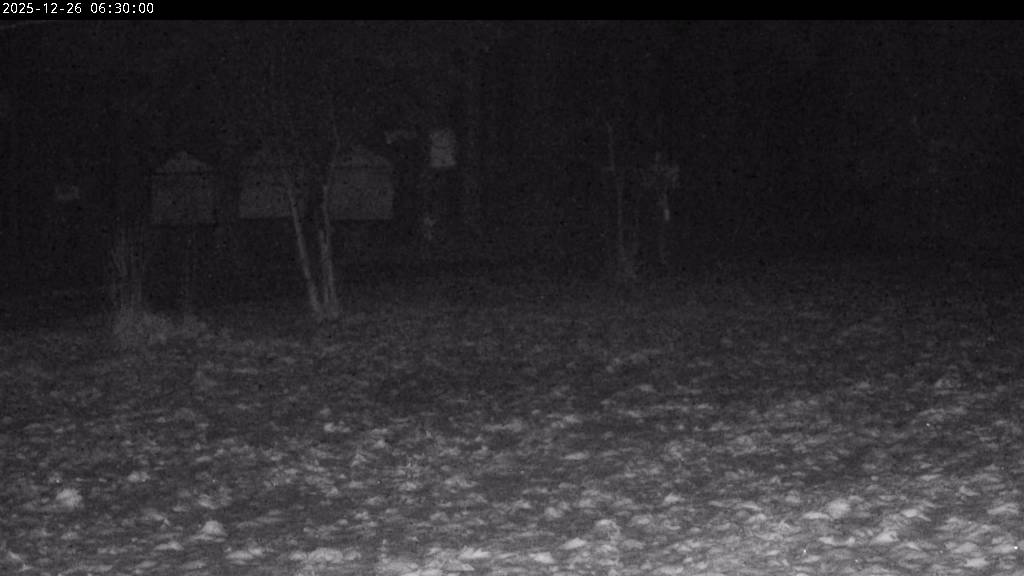 Webcam Johanngeorgenstadt