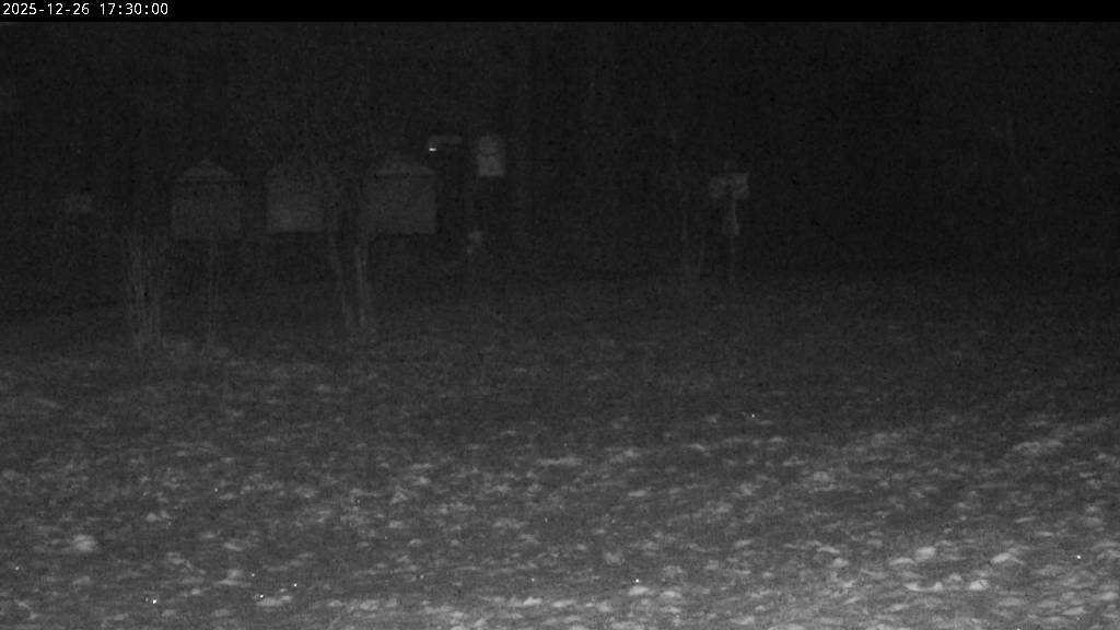 Webcam Johanngeorgenstadt