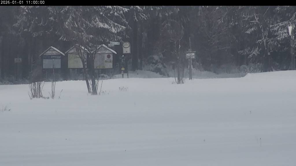 Webcam Johanngeorgenstadt