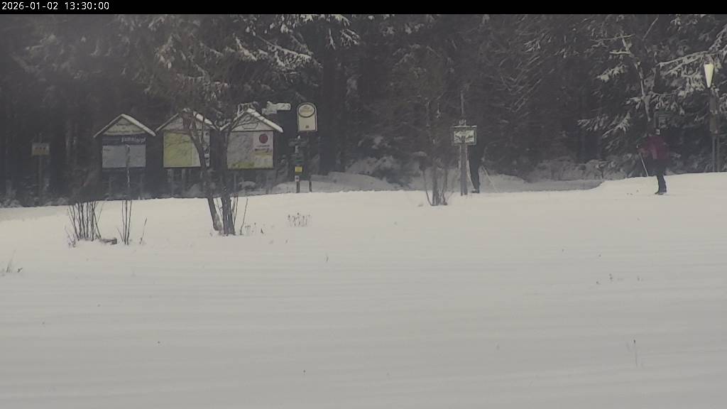 Webcam Johanngeorgenstadt