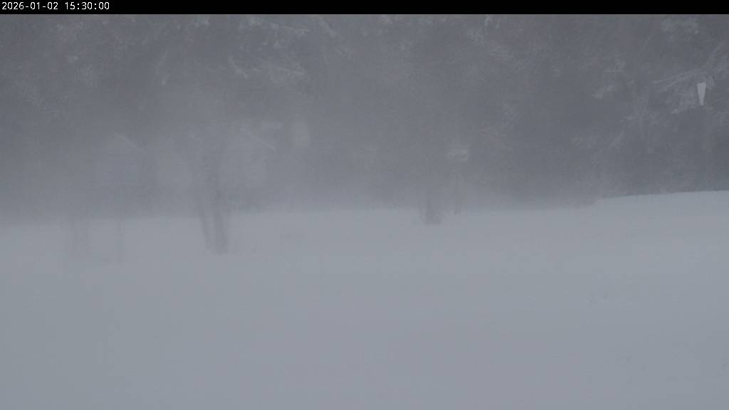 Webcam Johanngeorgenstadt