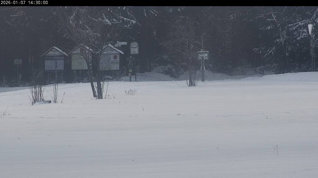 Webcam Johanngeorgenstadt