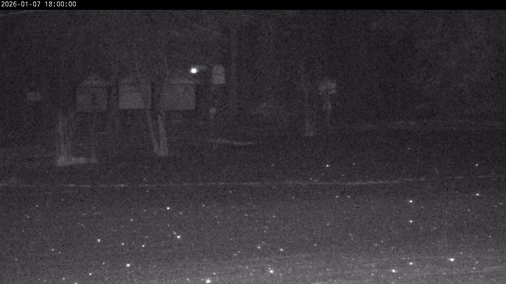 Webcam Johanngeorgenstadt