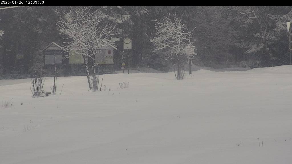 Webcam Johanngeorgenstadt