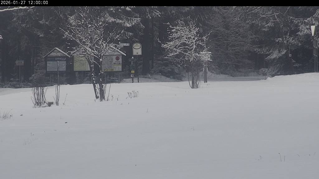 Webcam Johanngeorgenstadt