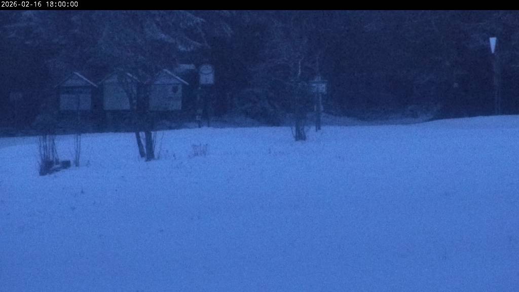 Webcam Johanngeorgenstadt