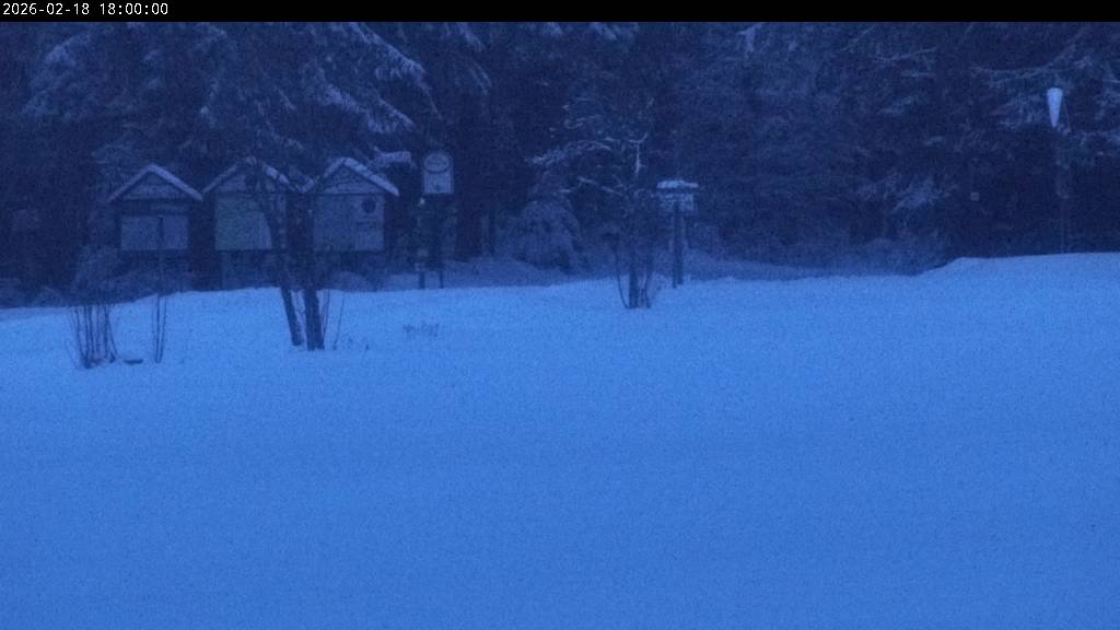 Webcam Johanngeorgenstadt