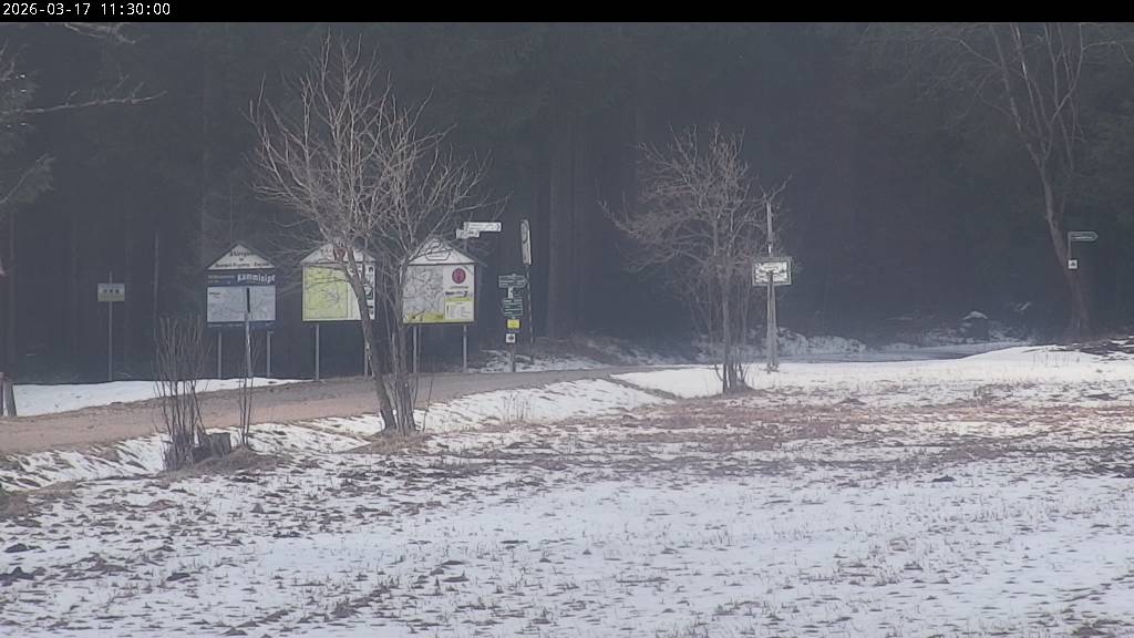 Webcam Johanngeorgenstadt