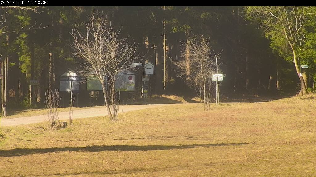 Webcam Johanngeorgenstadt