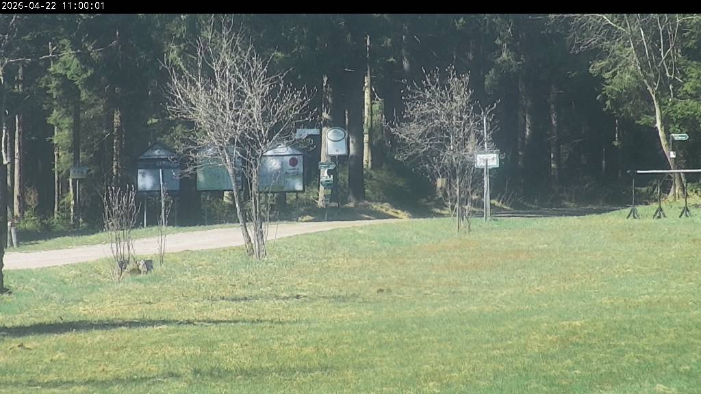 Webcam Johanngeorgenstadt