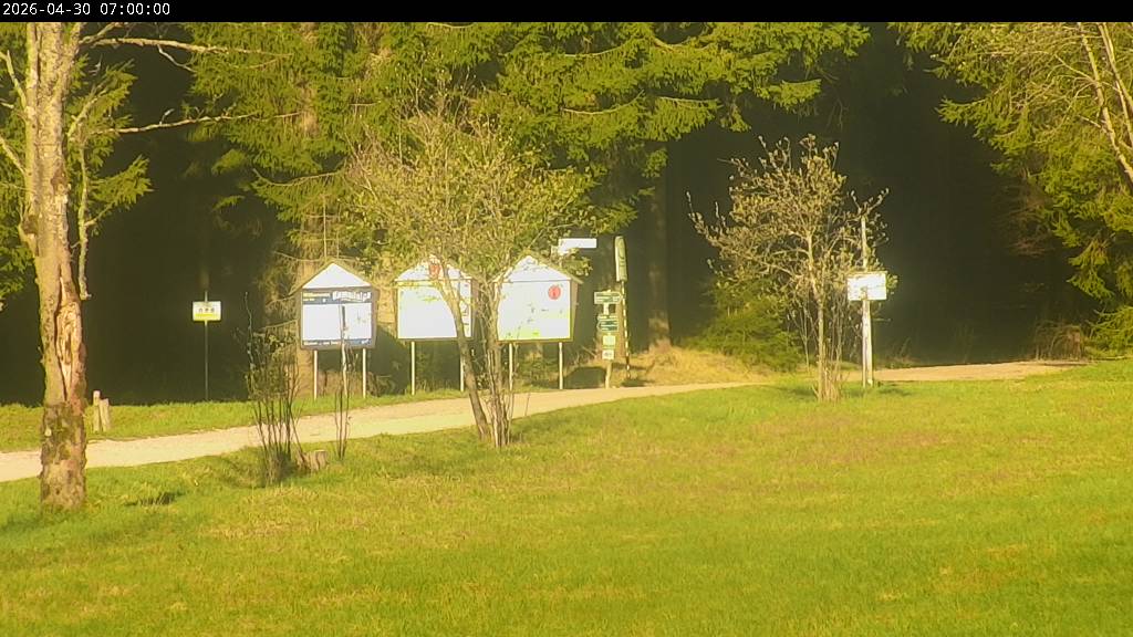 Webcam Johanngeorgenstadt