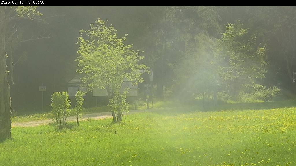 Webcam Johanngeorgenstadt