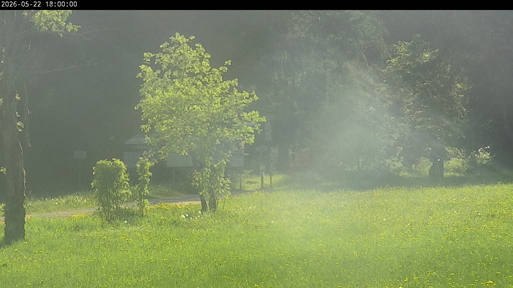 Webcam Johanngeorgenstadt
