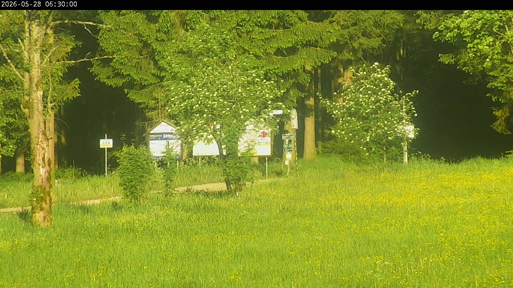 Webcam Johanngeorgenstadt