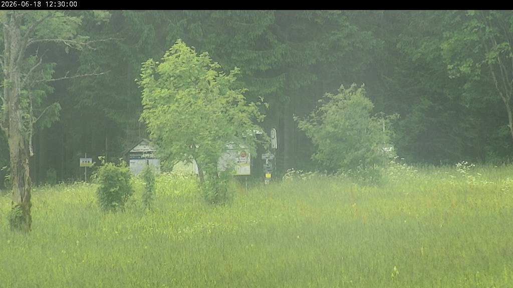 Webcam Johanngeorgenstadt