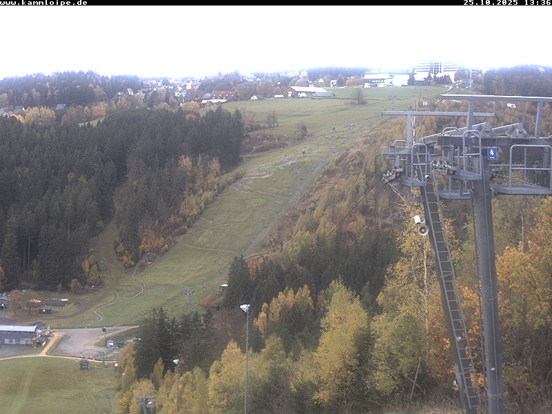 Webcam Schöneck Streugrün