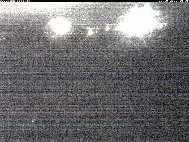 Webcam Schöneck Streugrün