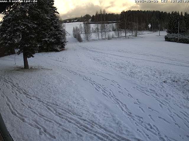 Webcam Hammerbrücke