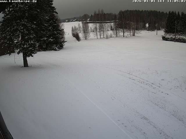 Webcam Hammerbrücke