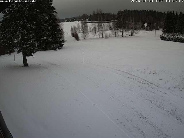 Webcam Hammerbrücke