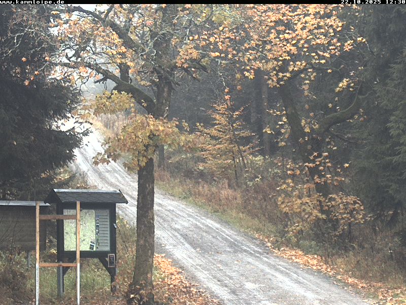 Webcam Weitersglashütte 2