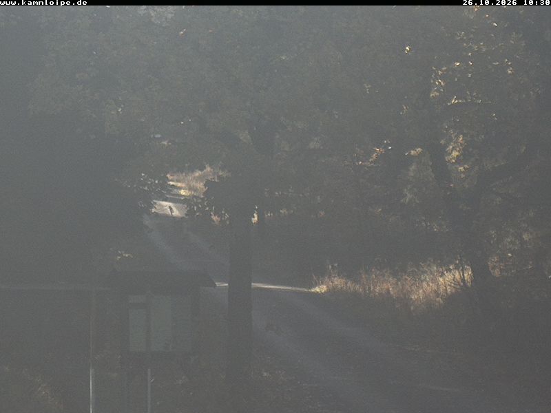 Webcam Weitersglashütte 2