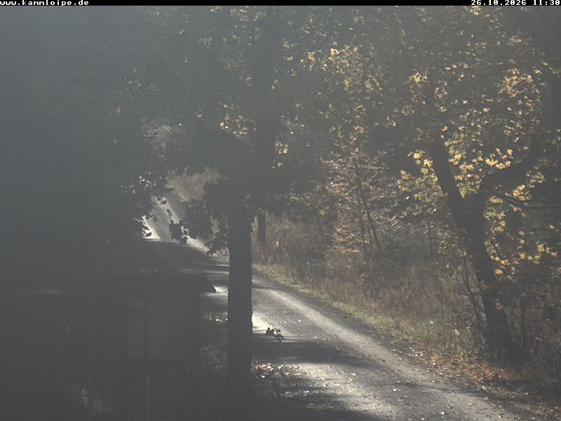 Webcam Weitersglashütte 2