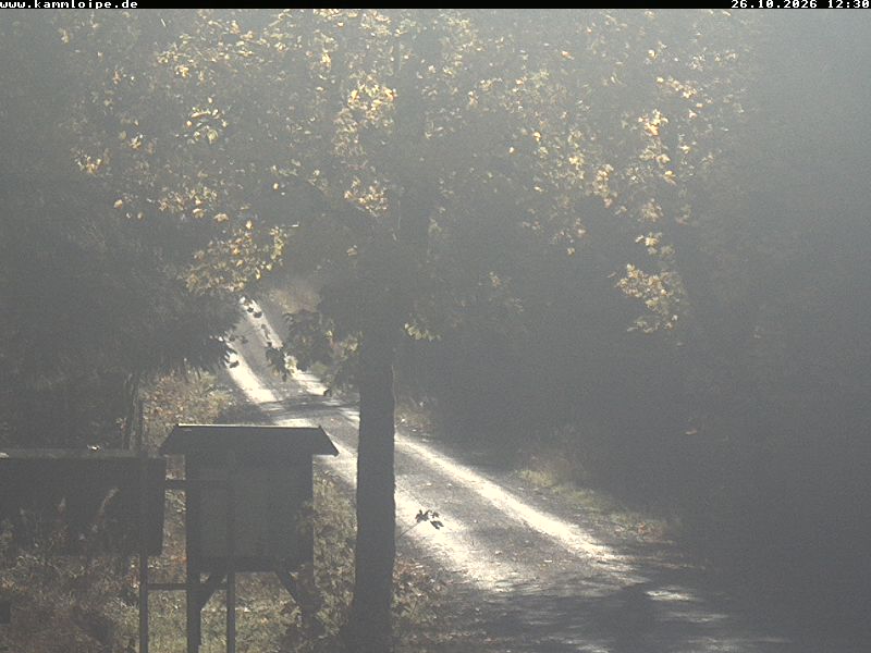 Webcam Weitersglashütte 2