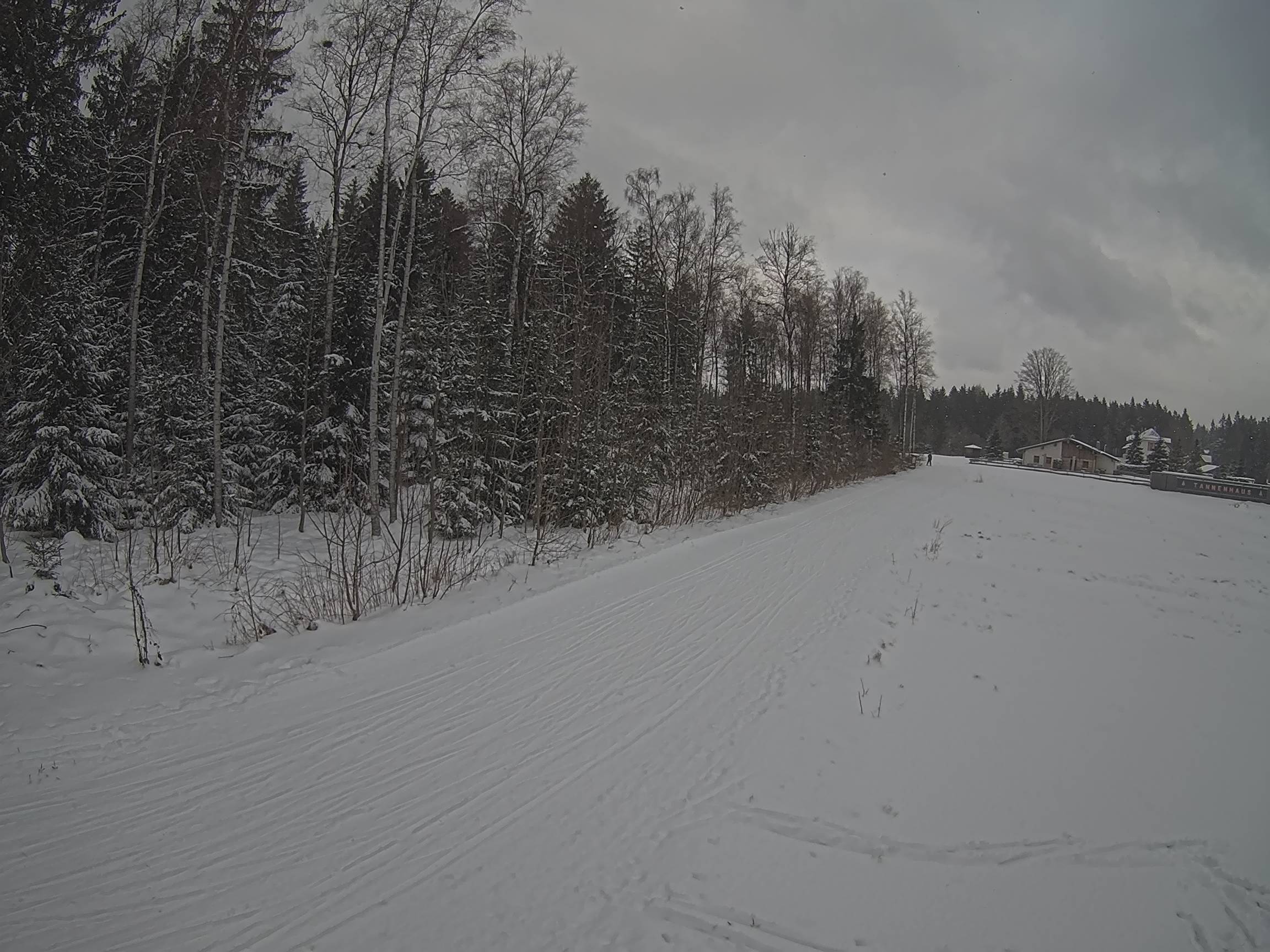 Webcam Schöneck Bogen