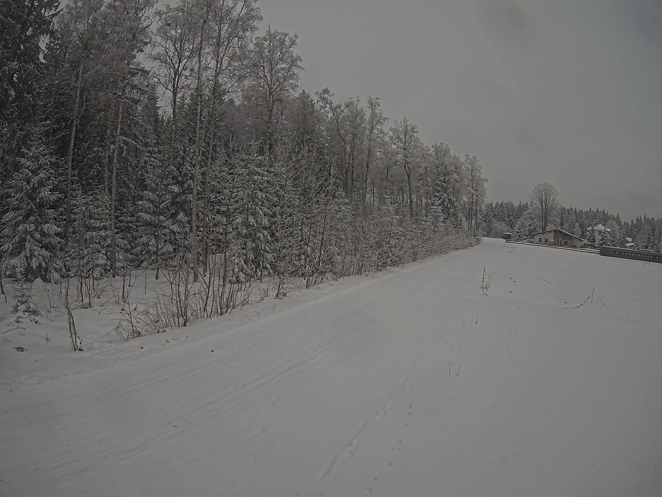 Webcam Schöneck Bogen