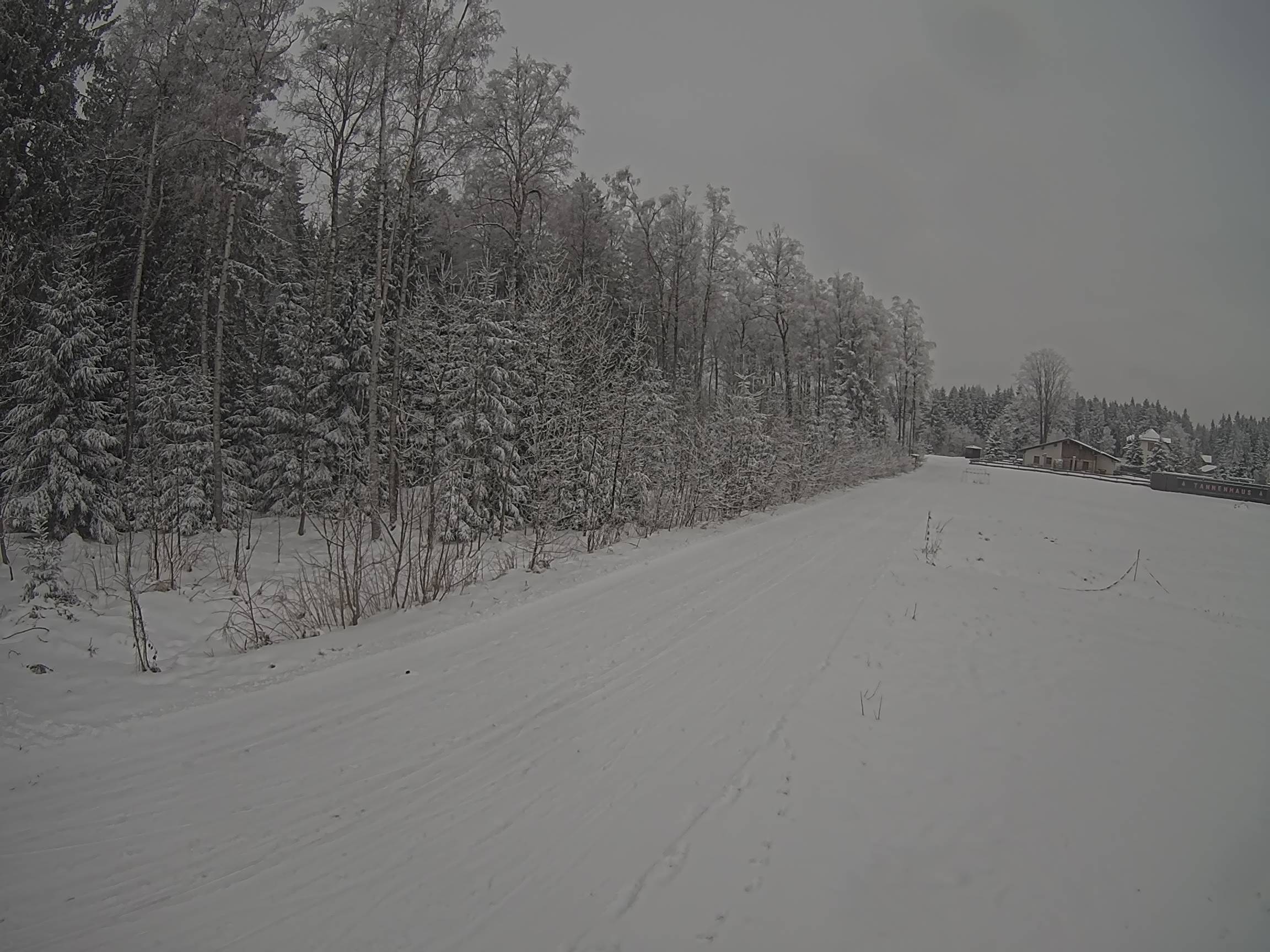 Webcam Schöneck Bogen