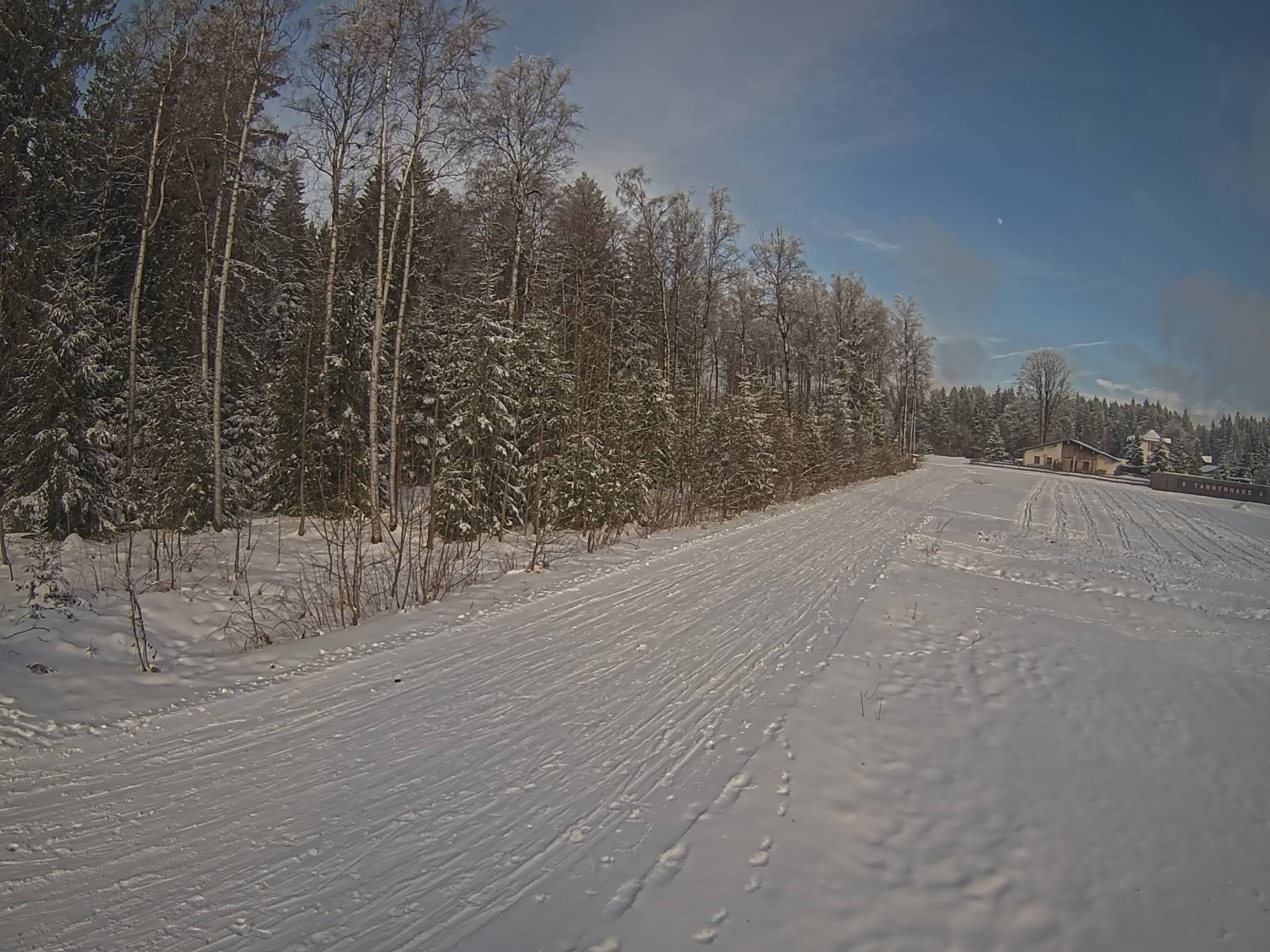 Webcam Schöneck Bogen