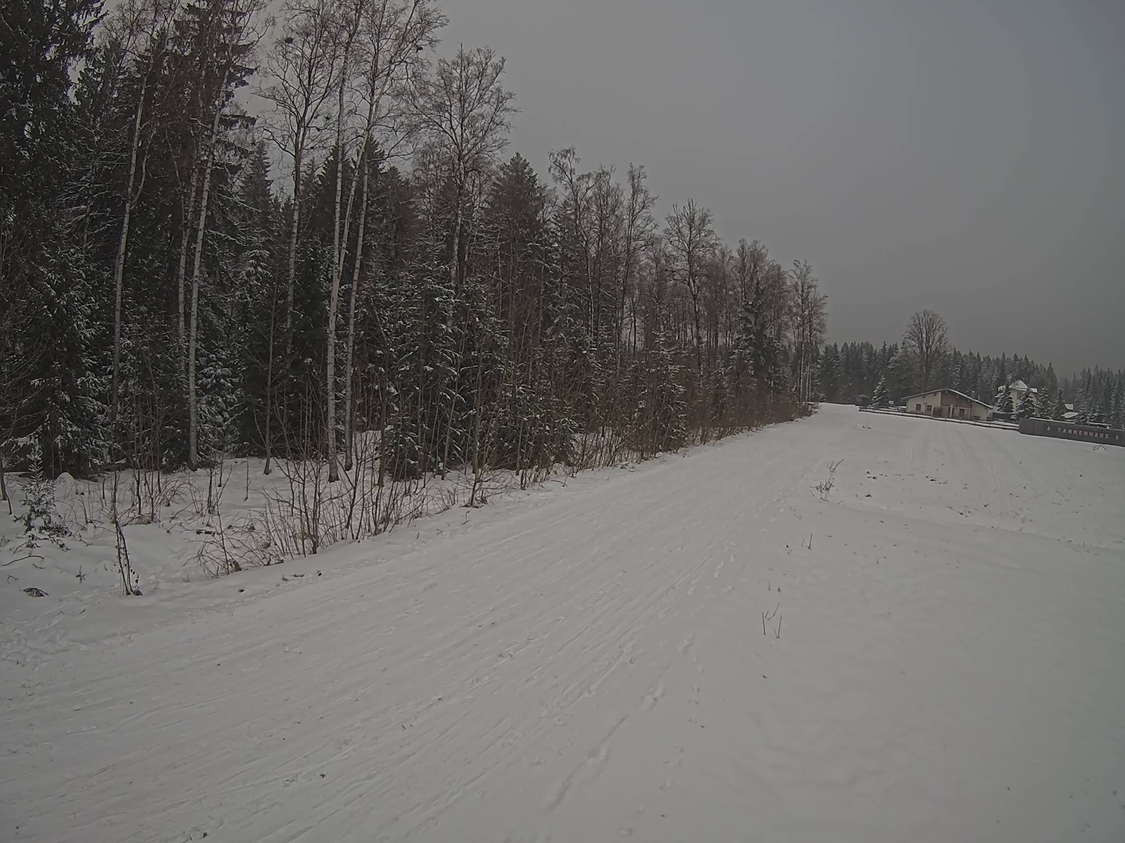 Webcam Schöneck Bogen