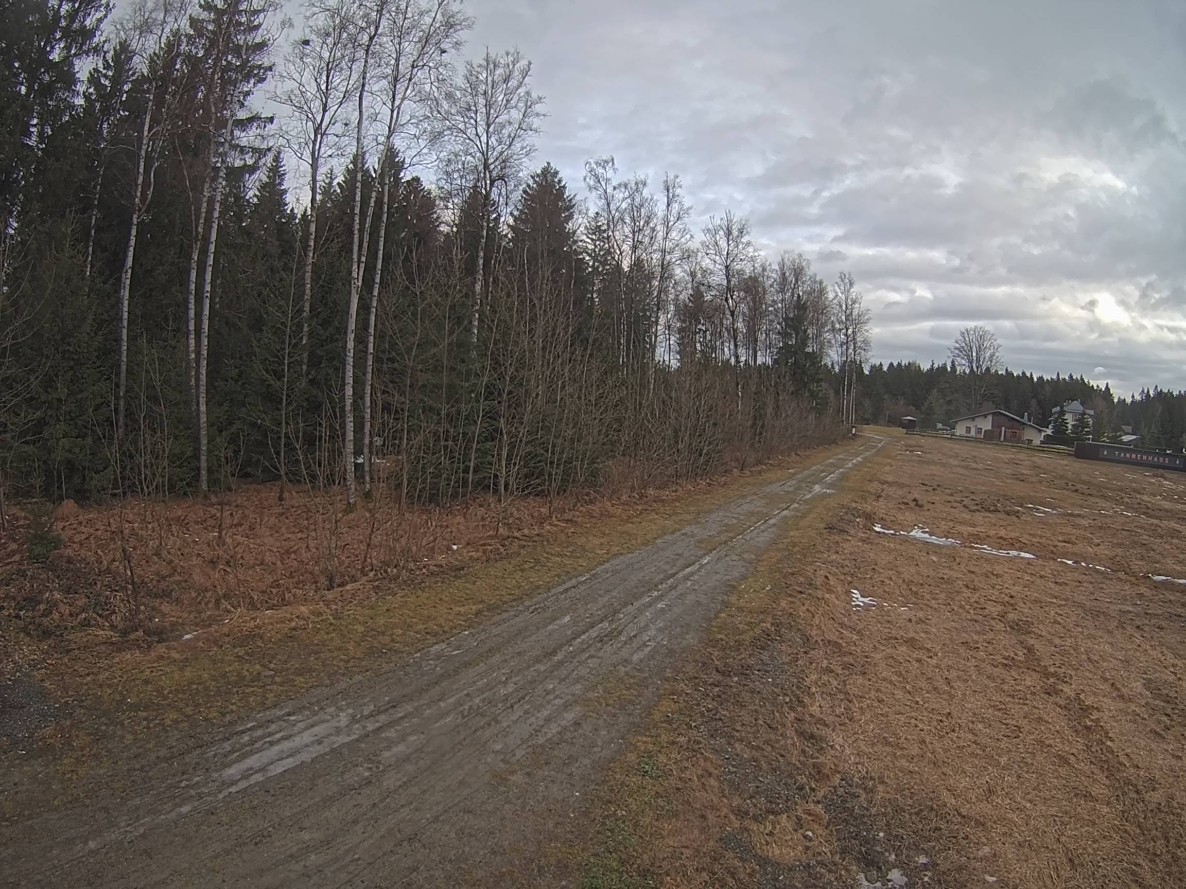 Webcam Schöneck Bogen